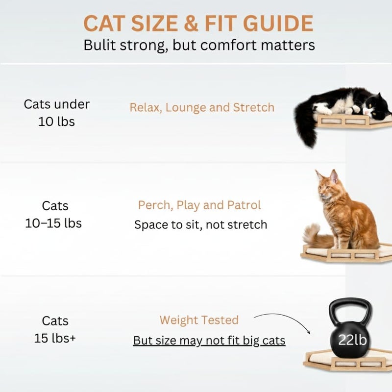 INICIO Cat Wall Shelves - Modern and Durable 3 Step Cat Furniture for Wall - Stylish Birch Floating Shelf for Cats up to 15lbs - Wooden Corner Shelves with Cushioned Perch - Natural Wood - Image 5